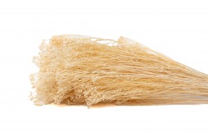 PHOCEALYS │Broom bloom sec│vente aux pros│Grossiste en fleurs séchées