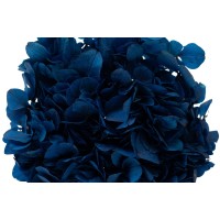 PHOCEALYS│Hortensia stabilisé│vente aux pros│Grossiste en végétaux stabilisées