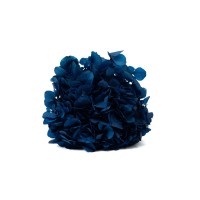 PHOCEALYS│Hortensia stabilisé│vente aux pros│Grossiste en végétaux stabilisées