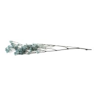 PHOCEALYS │Gypsophile stabilisé│vente aux pros│Grossiste