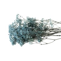 PHOCEALYS │Gypsophile stabilisé│vente aux pros│Grossiste