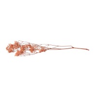PHOCEALYS │Gypsophile stabilisé│vente aux pros│Grossiste