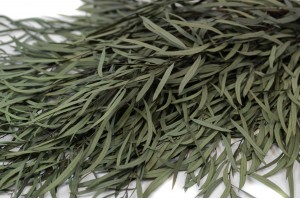 PHOCEALYS │Eucalyptus nicoly stabilisé │vente aux pros│Grossiste