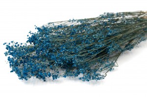 PHOCEALYS │Gypsophile stabilisé│vente aux pros│Grossiste