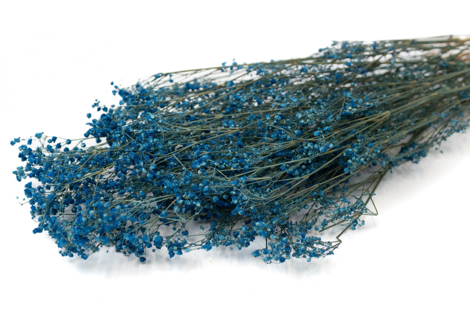 PHOCEALYS │Gypsophile stabilisé│vente aux pros│Grossiste