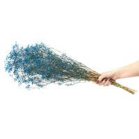 PHOCEALYS │Gypsophile stabilisé│vente aux pros│Grossiste