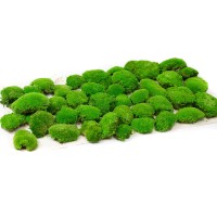 PHOCEALYS│Mousse boule stabilisée│vente aux pros│Grossiste