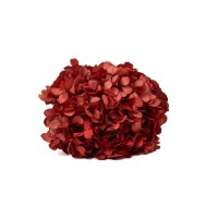PHOCEALYS│Hortensia stabilisé│vente aux pros│Grossiste en végétaux stabilisées