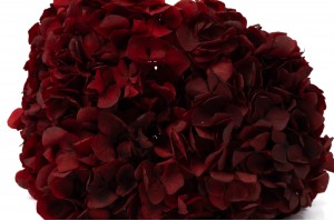 PHOCEALYS │Hortensia stabilisé│vente aux pros│Grossiste en végétaux stabilisées