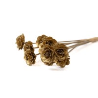 PHOCEALYS│Roses en bois sèche│vente aux pros│Grossiste en fleurs séchées