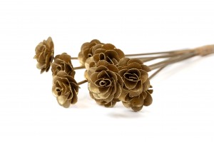 PHOCEALYS│Roses en bois sèche│vente aux pros│Grossiste en fleurs séchées
