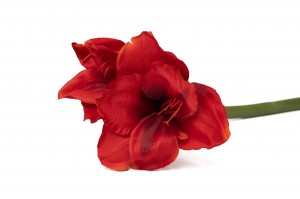 Amaryllis artificielle – Phocealys, grossiste déco végétale