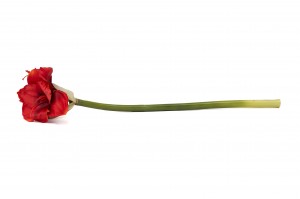 Amaryllis artificielle – Phocealys, grossiste déco végétale