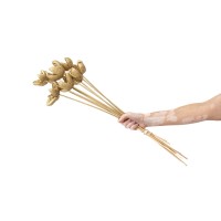 Castanopsis séchée sur tige│vente aux pros│Grossiste en fleurs séchées