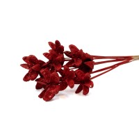 Castanopsis séchée sur tige│vente aux pros│Grossiste en fleurs séchées