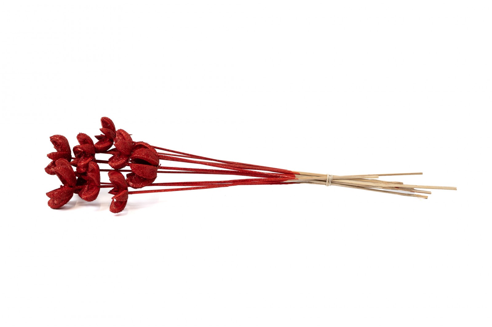 Castanopsis séchée sur tige│vente aux pros│Grossiste en fleurs séchées