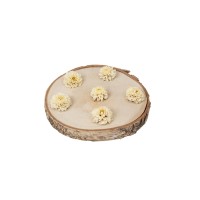 PHOCEALYS│Dahlia stabilisé│vente aux pros│Grossiste