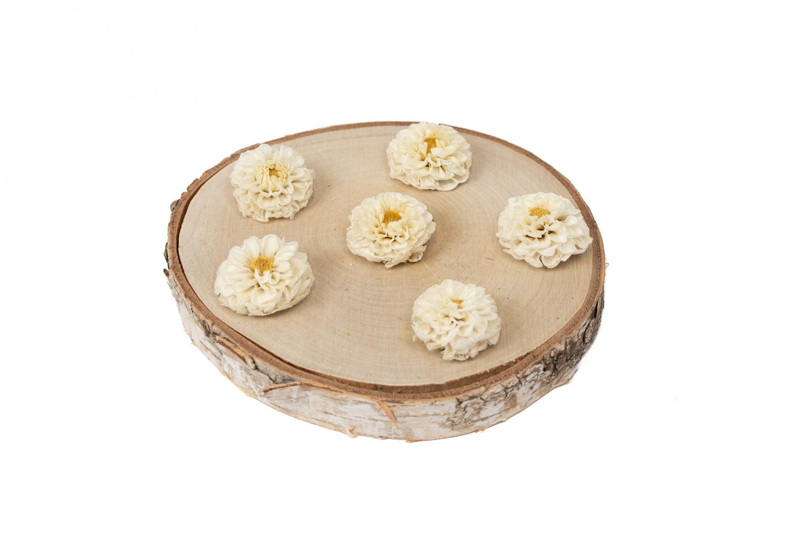 PHOCEALYS│Dahlia stabilisé│vente aux pros│Grossiste