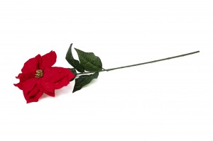 PHOCEALYS│Poinsettia Artificiel│Grossiste en végétaux artificiels