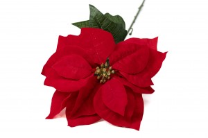 PHOCEALYS│Poinsettia Artificiel│Grossiste en végétaux artificiels