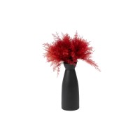 Air Fern stabilisée│vente aux pros│Grossiste
