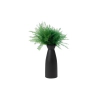 Air Fern stabilisée│vente aux pros│Grossiste