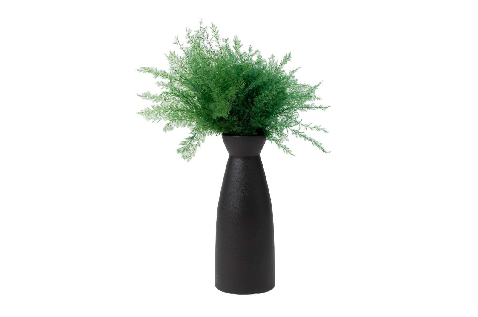 Air Fern stabilisée│vente aux pros│Grossiste