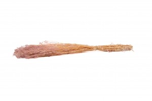 Gypsophile stabilisé│vente aux pros│Grossiste