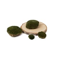 PHOCEALYS│Mousse boule sèche│vente aux pros│Grossiste