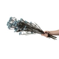 Diosmi stabilisé│vente aux pros│Grossiste en végétaux stabilisées