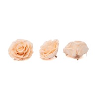 PHOCEALYS │Têtes de roses stabilisées  │vente aux pros│Grossiste