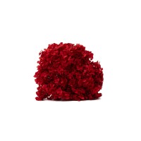 Hortensia Anna stabilisé│vente aux pros│Grossiste en végétaux stabilisées