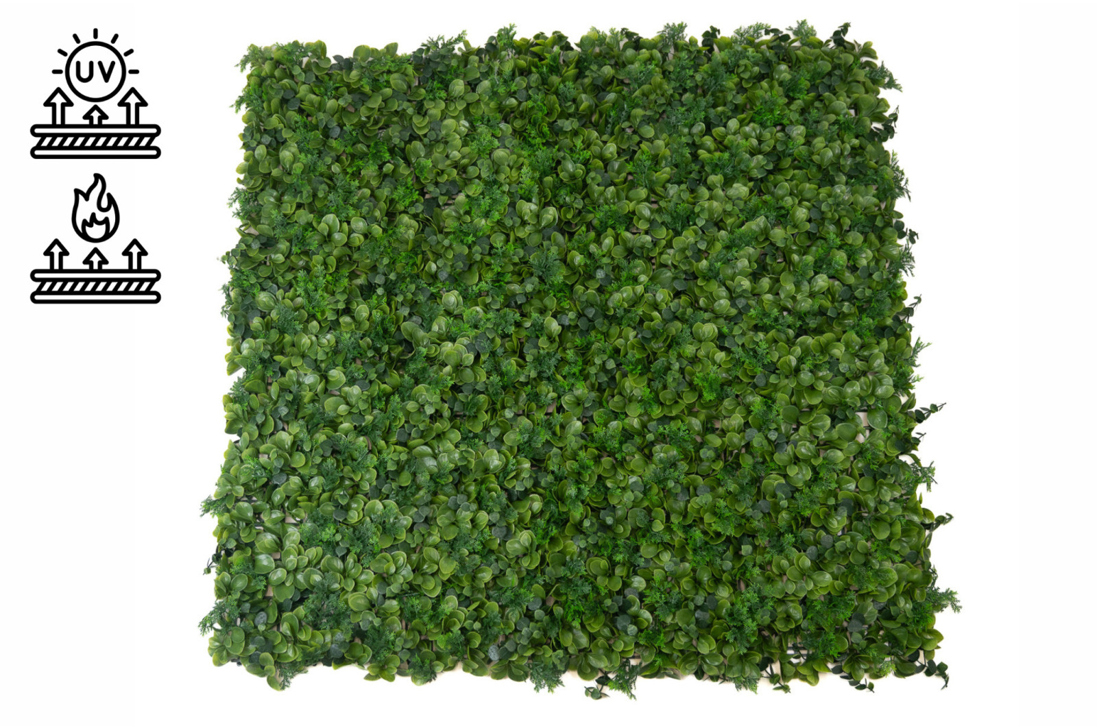 PHOCEALYS│Panneau Ficus artificiel│Grossiste en végétaux artificiels