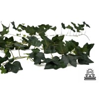 PHOCEALYS│Guirlande de Lierre Gala artificiel UV│Grossiste en déco végétale