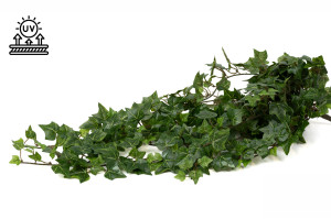 Chute de lierre UV artificiel |Phocealys Grossiste |Déco végétale