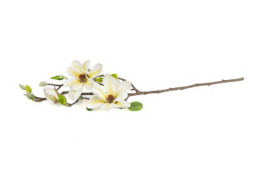 PHOCEALYS│Magnolia artificiel│Grossiste en végétaux artificiels