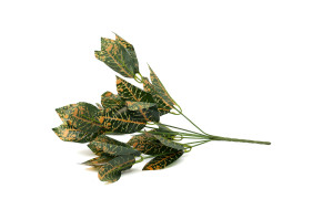 PHOCEALYS│Codiaeum artificiel piquet│Grossiste en végétaux artificiels