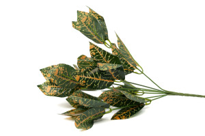 PHOCEALYS│Codiaeum artificiel piquet│Grossiste en végétaux artificiels