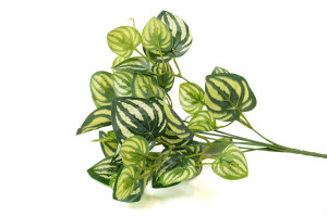 PHOCEALYS│Peperomia artificiel piquet │Grossiste en végétaux artificiels
