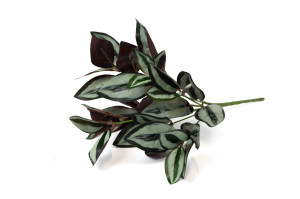 PHOCEALYS│Tradescantia artificiel piquet │Grossiste en végétaux artificiels