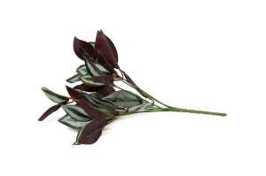 PHOCEALYS│Tradescantia artificiel piquet │Grossiste en végétaux artificiels