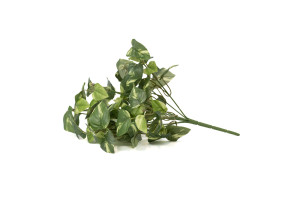 PHOCEALYS│Pothos artificiel piquet│Grossiste en végétaux artificiels