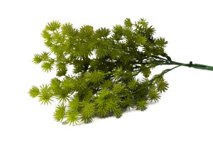 PHOCEALYS│Cyprès artificiel piquet│Grossiste en végétaux artificiels