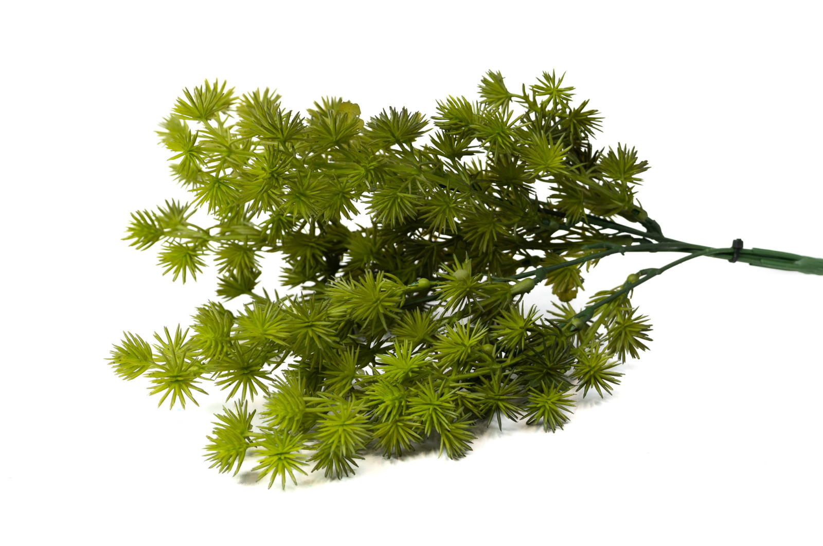 PHOCEALYS│Cyprès artificiel piquet│Grossiste en végétaux artificiels
