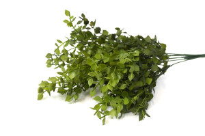 PHOCEALYS│Eucalyptus mini artificiel piquet│Grossiste en végétaux artificiels