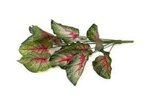 PHOCEALYS│Caladium artificiel piquet│Grossiste en végétaux artificiels