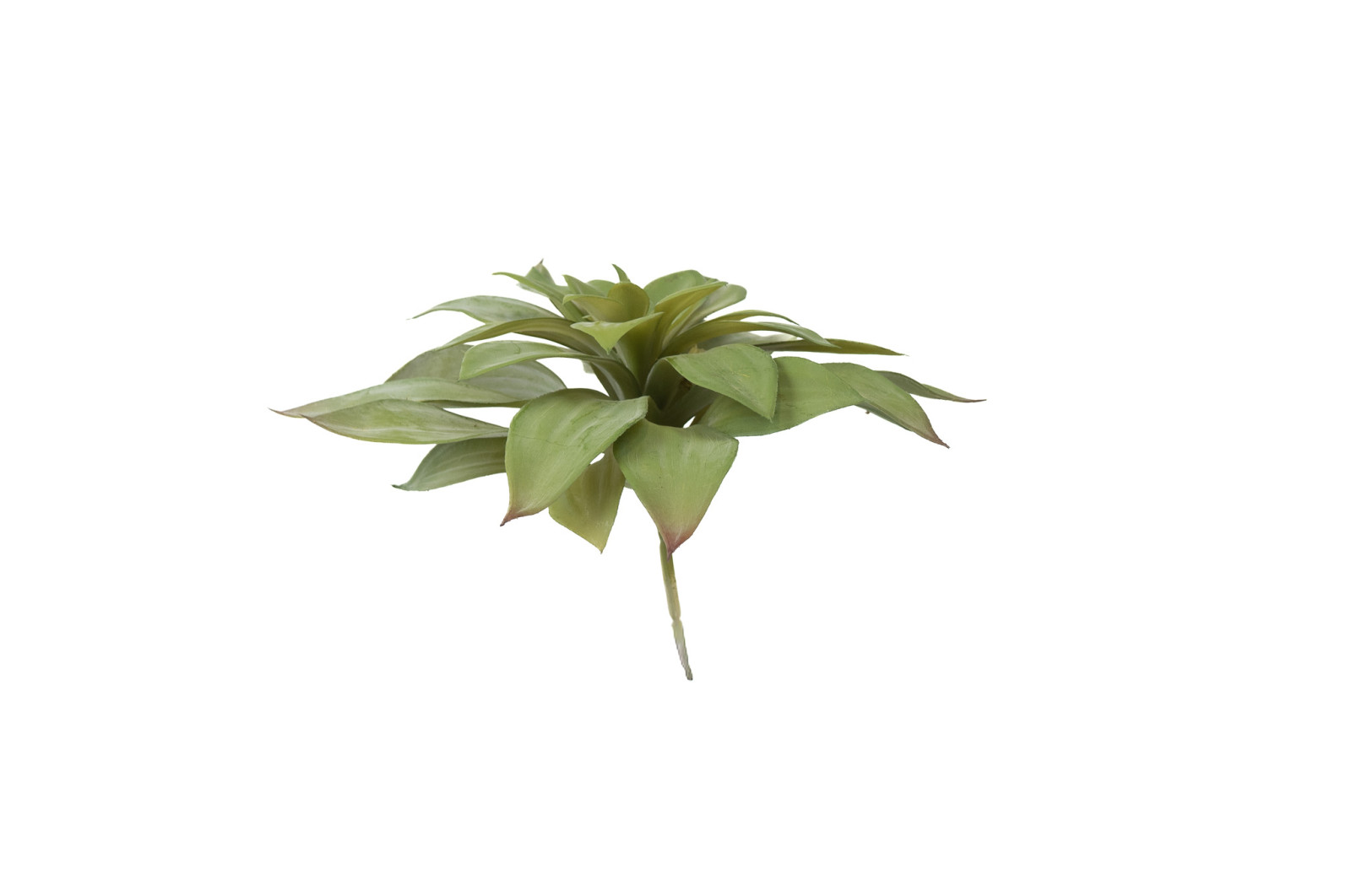 PHOCEALYS│Echeveria - succulente artificielle piquet│Grossiste en végétaux artificiels