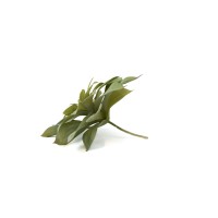 PHOCEALYS│Echeveria - succulente artificielle piquet│Grossiste en végétaux artificiels