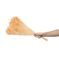 Broom sec blanc / crème vente en vrac Phocealys grossiste fournisseur pros