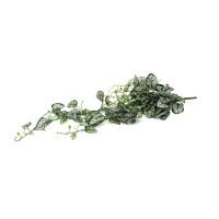 Fittonia Artificiel Chute - Phocealys Grossiste végétaux artificiels